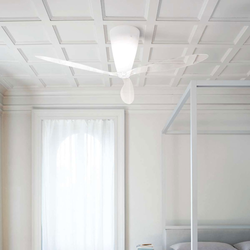  Ceiling Fans