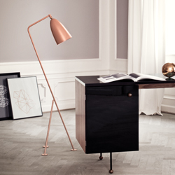 Floor Lamps