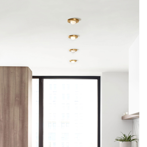 Brass Flushmounts